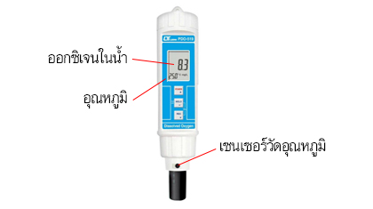Lutron PDO-519 เครื่องวัดออกซิเจนในน้ำ Dissolved Oxygen Meter (Pen type) Lutron PDO-519 เครื่องวัดออกซิเจนในน้ำ Dissolved Oxygen Meter (Pen type)