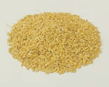 Grain Grain