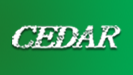 cedar cedar