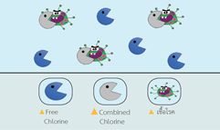 Total, Free and Combined Chlorine