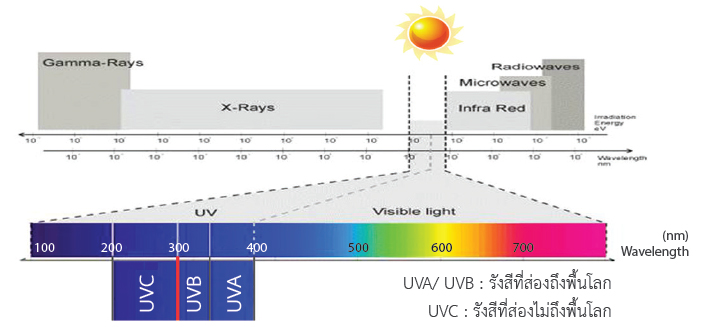 Ultraviolet Meter
