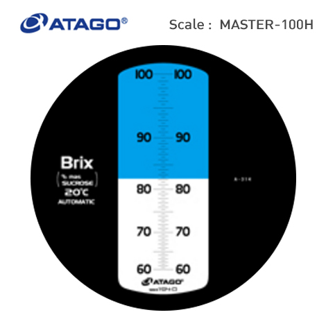 MASTER-100H MASTER-100H