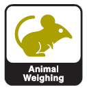 Animal Weighing Animal Weighing