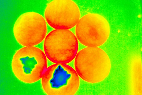 TiX100 Application TiX100 Application