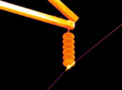 Passive autofocus systems may only capture the near-field  subject (fence). Passive autofocus systems may only capture the near-field  subject (fence).