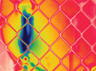 Passive autofocus systems may only capture the near-field  subject (fence). Passive autofocus systems may only capture the near-field  subject (fence).