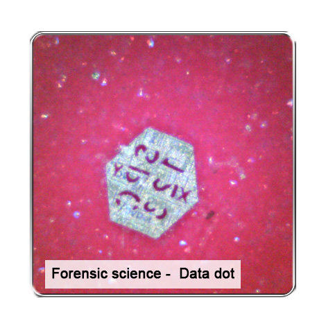 Vitiny VT300-O กล้องไมโครสโคป (สีส้ม) Vitiny VT300-O กล้องไมโครสโคป (สีส้ม)