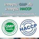 มาตรฐาน HACCP และ GMP คือ?
